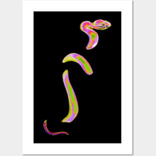 trippy snek 1 Posters and Art